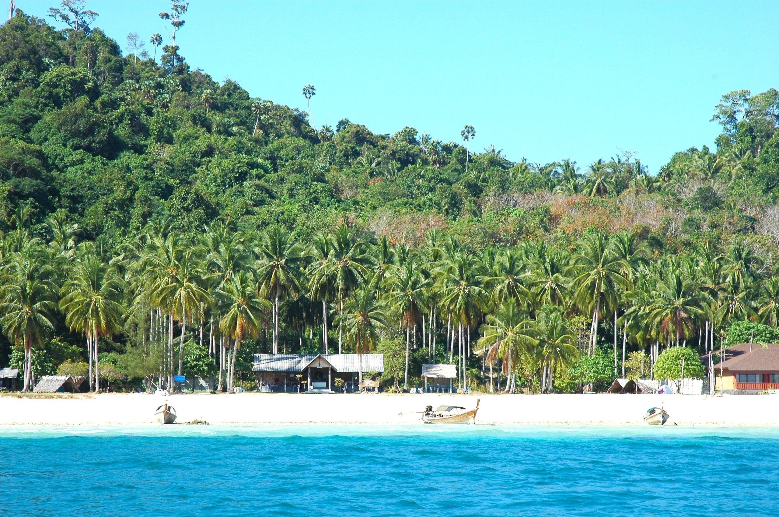 【元英会話学校カウンセラー流　海外で本当に使える英語学習方法】