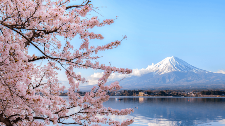 脱、なんとなくEC！ 担当者がECサイト制作で最初に必ず行うべきステップ