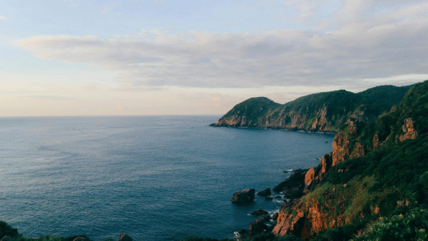 アナログネイティヴも、デジタルネイティヴも混在する現代